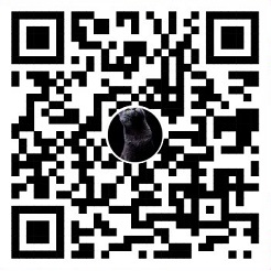 Momo QR Code